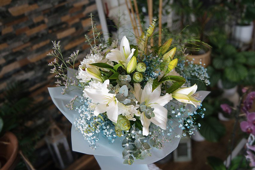 article rosas alisios