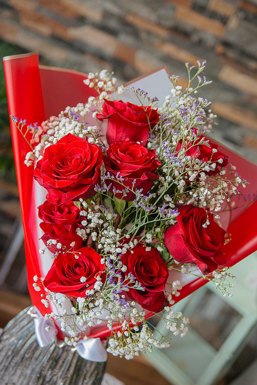 article rosas cascada